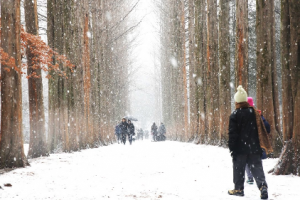 Bí kíp giúp bạn có thể đi du lịch Hàn Quốc miễn phí