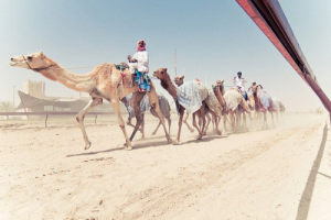 Miễn phí tour du lịch nước ngoài cho trẻ nhỏ Tết 2018