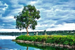 Kinh nghiệm du lịch Gia Lai – Đi bằng gì, chơi gì, ở đâu?