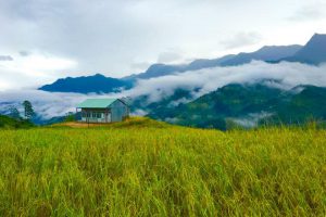 [Kon Tum] những đặc sản nổi tiếng không nên bỏ lỡ khi đến với Kon Tum