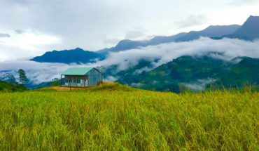 [Kon Tum] những đặc sản nổi tiếng không nên bỏ lỡ khi đến với Kon Tum