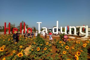 [Đắk Lắk] Kinh nghiệm du lịch Đắk Lắk tự túc từ A-Z, đi đâu, chơi gì, ở đâu ?