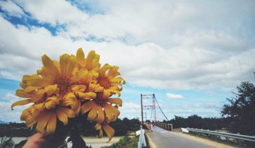 [Kon Tum] Kinh nghiệm du lịch Kon Tum tự tức từ A-Z, đi đâu, chơi gì, ở đâu ?