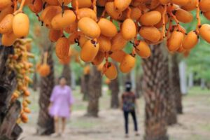 [Đồng Tháp] Top địa điểm check-in không thể bỏ qua tại Đồng Tháp