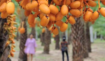 [Đồng Tháp] Top địa điểm check-in không thể bỏ qua tại Đồng Tháp