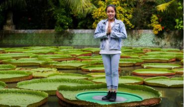 [Đồng Tháp] Tất tần tật kinh nghiệm du lịch Đồng Tháp tự túc từ A-Z, đi đâu, chơi gì, ở đâu ?