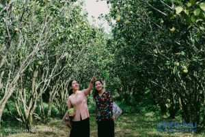 [Tiền Giang] Top những địa điểm ăn chơi thú vị tại Tiền Giang