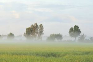 [Kiên Giang] Kinh nghiệm du lịch Kiên Giang tự túc từ A-Z, đi đâu, chơi gì, ở đâu ?