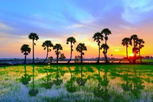 Tour riêng Sài Gòn Châu Đốc Rừng Tràm Trà Sư