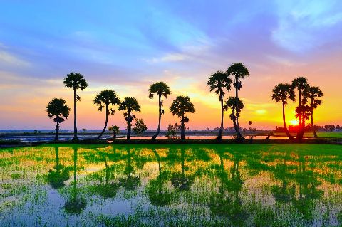 Tour riêng Sài Gòn Châu Đốc Rừng Tràm Trà Sư