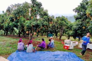 [Sơn La] Những món ngon khó quên nhất định phải thử khi đến Sơn La