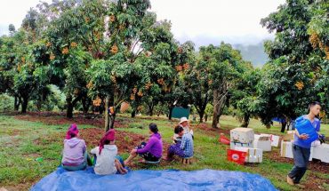 [Sơn La] Những món ngon khó quên nhất định phải thử khi đến Sơn La