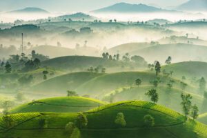 [Phú Thọ] Tất tần tật những đặc sản nhất định phải thử khi đến Phú Thọ