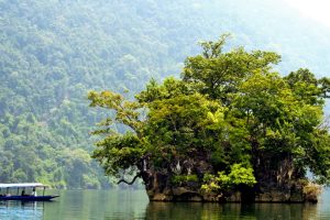 [Bắc Kạn] Top những địa điểm check-in “không đẹp không lấy tiền” tại Bắc Kạn