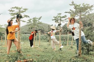 [Thái Nguyên] Tất tần tật kinh nghiệm du lịch Thái Nguyên tự túc từ A-Z, đi đâu, chơi gì, ở đâu ?