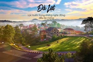 Combo Đà Lạt 3N2D khách sạn 3 sao