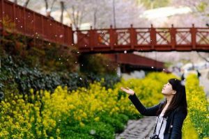 MÙA XUÂN TRÊN XỨ HÀN: SEOUL – NAMI – EVERLAND | 4 NGÀY 4 ĐÊM KHÁM PHÁ XỨ SỞ KIM CHI