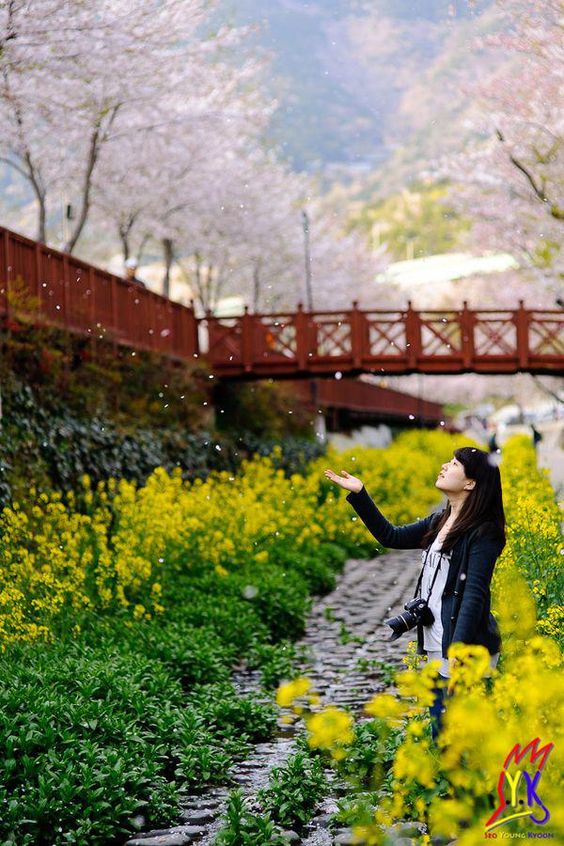 MÙA XUÂN TRÊN XỨ HÀN: SEOUL - NAMI - EVERLAND | 4 NGÀY 4 ĐÊM KHÁM PHÁ XỨ SỞ KIM CHI