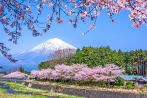 Khám phá Núi Phú Sĩ Nhật Bản